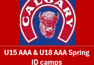 Spring ID camps